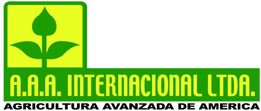 AAA Internacional Ltda.